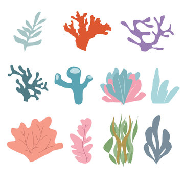 Set of colorful corals and seaweeds,nautucal illustration on white background,Hand drawen coral reef and sea plants