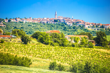Istria, Croatia. Old stone town of Buje tower and rooftops view,