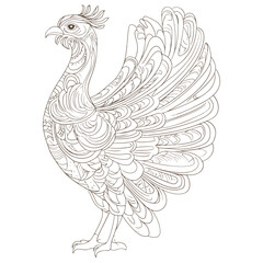 Fototapeta premium turkey, animal, vector, transparent background, black and white style