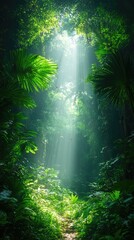 Sunlight streams through tropical forest canopy illuminating lush green vegetation below