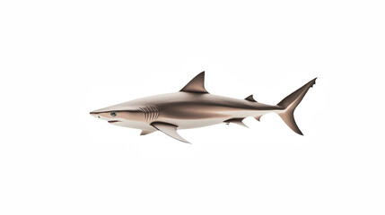 Fototapeta premium a 3d picture of a shark swimming on a transparent background, PNG image, PNG file, Generative art.