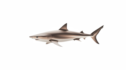 a 3d picture of a shark swimming on a transparent background, PNG image, PNG file, Generative art.