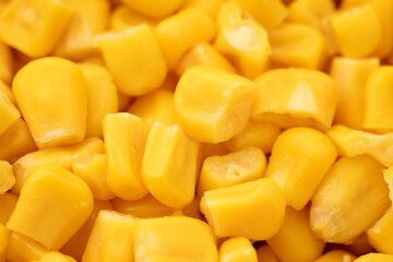 Sweet corn kernels. Sweet yellow canned corn. Fresh corn kernels.