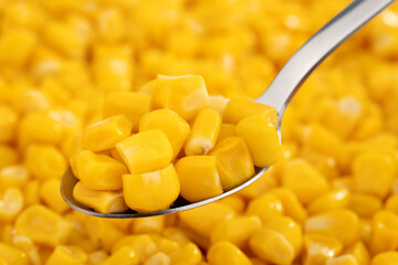 Sweet corn kernels. Sweet yellow canned corn. Fresh corn kernels.