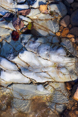 the structure of the rocky bottom of a dried-up riverbed in the autumn period of the year