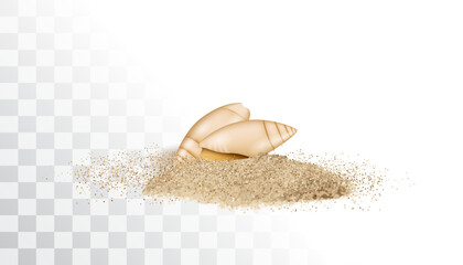 Shells in sand pile isolated. Seashell on sandy beach, ocean dune clams, summer seashore