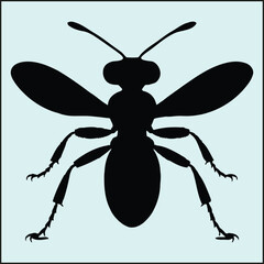 Fototapeta premium Ant Silhouette, Bug 