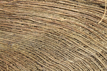Full frame texture of dried coconut tree stem fibers