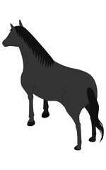 Simple isometric illustration of a standing black-haired horse (diagonally back)