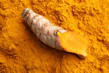 Fresh turmeric root on aromatic powder, top view