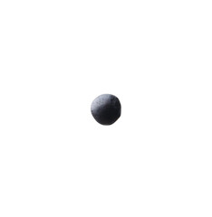 One black lentil seed isolated on white