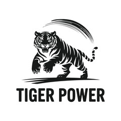 Tiger vector illustration on black and white backgrounds featuring wildcat and feline design elements