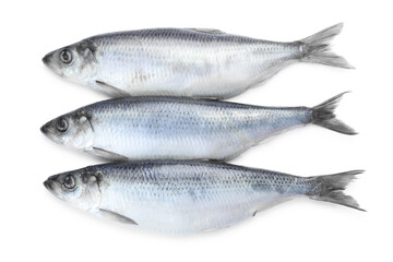 Salted herrings on white background, top view