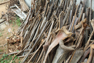 A close-up of randomly arranged coconut fronds, showing natural textures, weathered surfaces, and organic shapes in earth tones. 