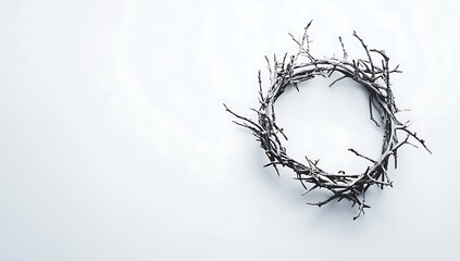 Crown of Thorns, a realistic stock photo on a white background