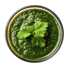 A top view of a bowl filled with vibrant green cilantro chutney on a black background