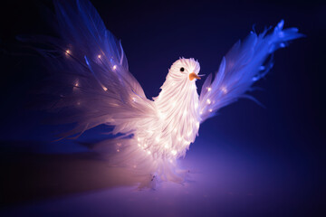 Fototapeta premium white dove