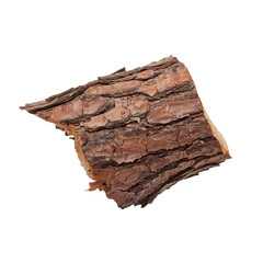 Spruce bark fragment lying against transparent backdrop, showcasing natural woodgrain texture
