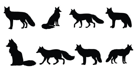 A collection of black fox silhouette illustrations in various poses of white background. Vector illustration.