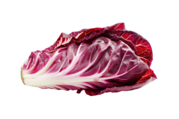 Vibrant radicchio showcasing rich colors and unique textures in a minimalistic display isolated on transparent background