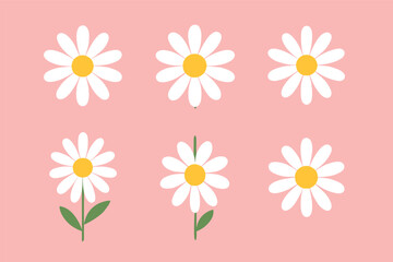 Spring daisy icons on pink background for design projects and decoration