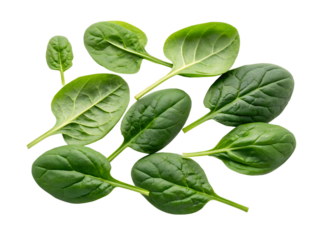 A bunch of green spinach leaves are arranged in a row