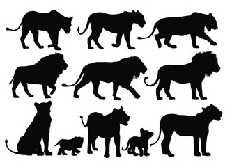 The set silhouettes of African lions.
