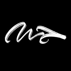 Abstract black ink brush stroke on white background. Perfect for graphic design, logo elements, backgrounds, or artistic decorations.