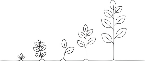 Minimalist Plant Growth in Continuous Line Drawing | Botanical Growth Stages Vector Illustration from Seedling to Tall Plant | Perfect for Education, Sustainability Projects, and Nature-Themed Art