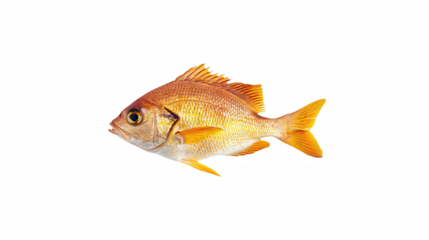 a yellow fish on a transparent background, PNG image, PNG file, Generative art.