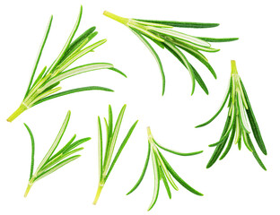 Set of green fresh rosemary leaves isolated on white background. File contains clipping path.