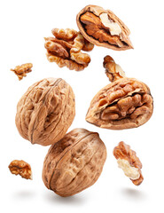 Set of walnut and walnut kernels leaves isolated on white background. File contains clipping path.