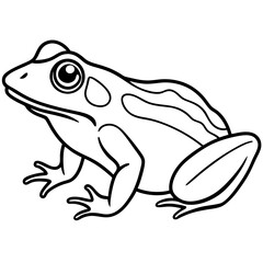 Stylized Frog Outline Vector