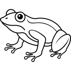 Stylized Frog Outline Vector