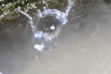 A water droplet splashes into a murky pool, creating a dynamic crown-shaped ripple. Captured in...