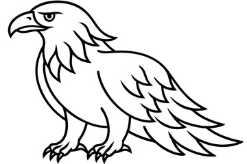 Flying Eagle Wireframe
