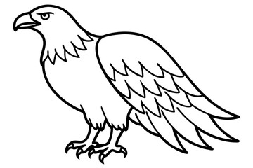 Flying Eagle Wireframe