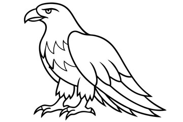 Flying Eagle Wireframe