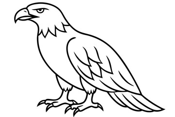 Flying Eagle Wireframe