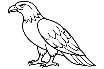 Fototapeta premium Flying Eagle Wireframe