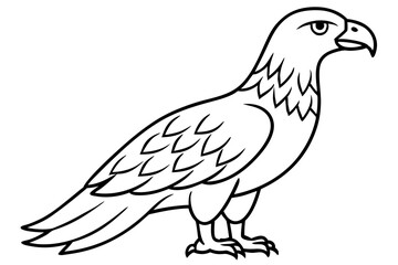 Flying Eagle Wireframe