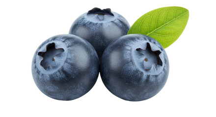 Isolated Blueberries