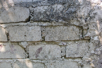 A close-up view of an old brick wall with uneven mortar, showcasing a rough, textured surface. Natural light highlights the aged structure and weathered details.