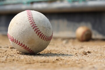 Warm spring is approaching