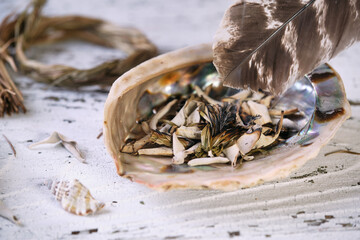 Burning sweetgrass (Hierochloe odorata) and white sage (Salvia apiana) in an iridescent abalone shell with incense feather on an old white wooden table.