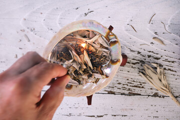 Burning sweetgrass (Hierochloe odorata) and white sage (Salvia apiana) in an iridescent abalone...