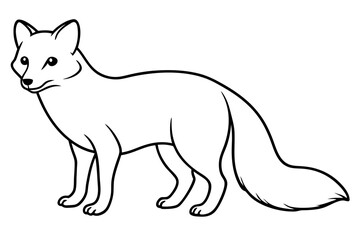 Geometric Arctic Fox Sketch