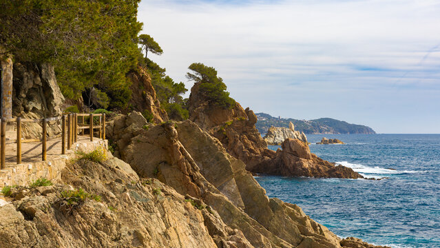 Scenic coastal path (Cam&iacute; de Ronda) near Blanes, winding along rugged cliffs with pine trees and views of the blue Mediterranean Sea.