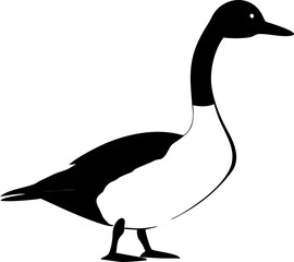 vector illustration of a white goose