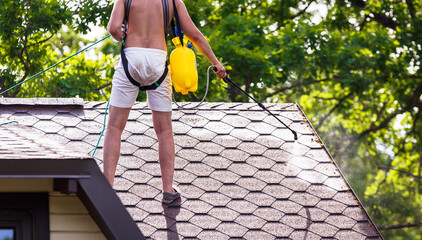 Roof treatment with anti-moss liquid by spraying it on the roofing material in the summer  part of the human body is visible. © Dainis